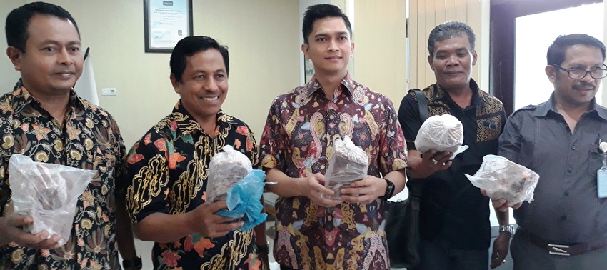 Permintaan Meningkat, Bulog Siapkan Stok Daging Beku 130 Ton