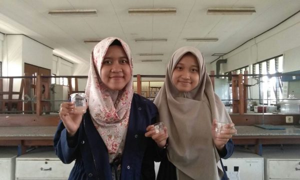 Ciptakan Baterai Gel dari Buah Tomat