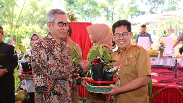 Kementan Sebar 10 Juta Bibit Benih Perkebunan untuk Petani