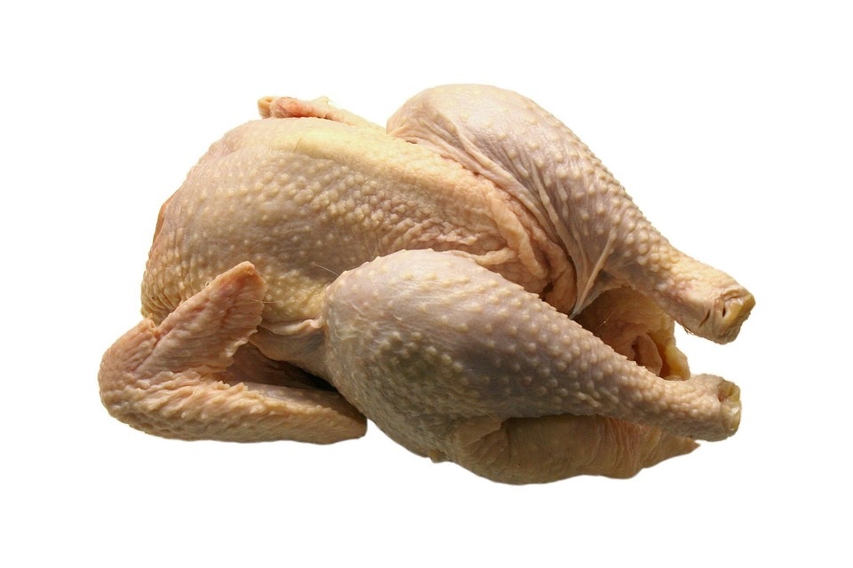 KPPU Selidiki Naiknya Harga Ayam di Medan