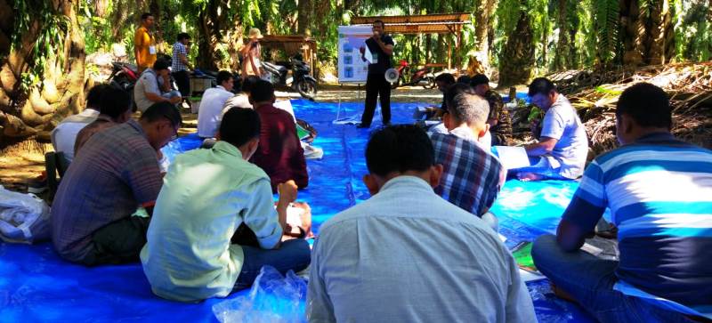 CII dan Distan Tapsel Latih 25 PPL untuk Pendamping Petani Sawit 