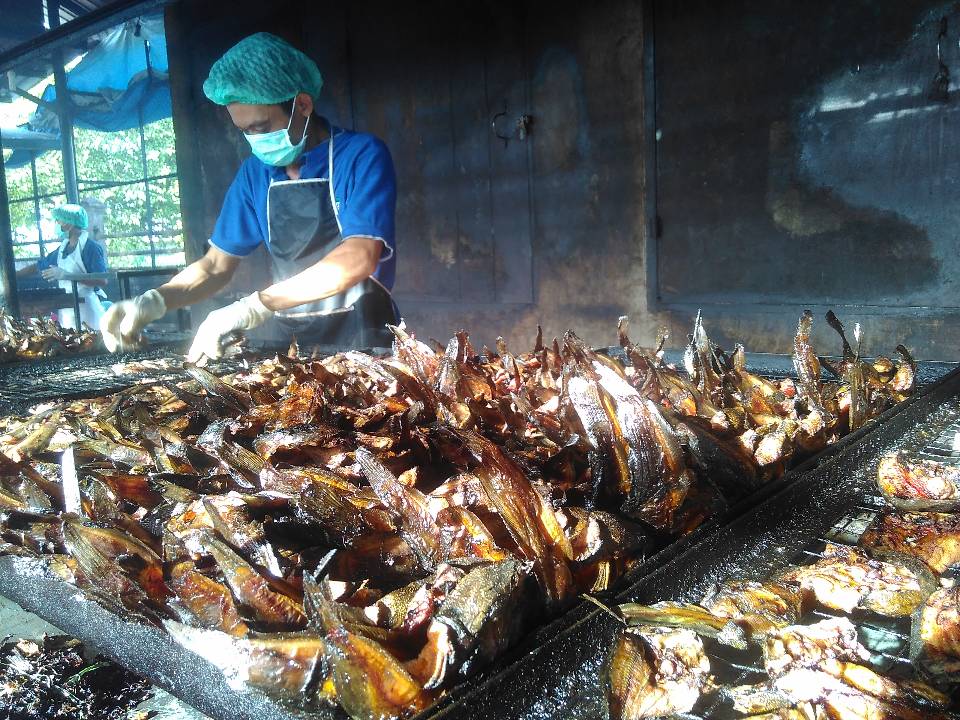 Sempat Bangkrut, Handy Eng Fokus Sukses dengan Ikan Sale