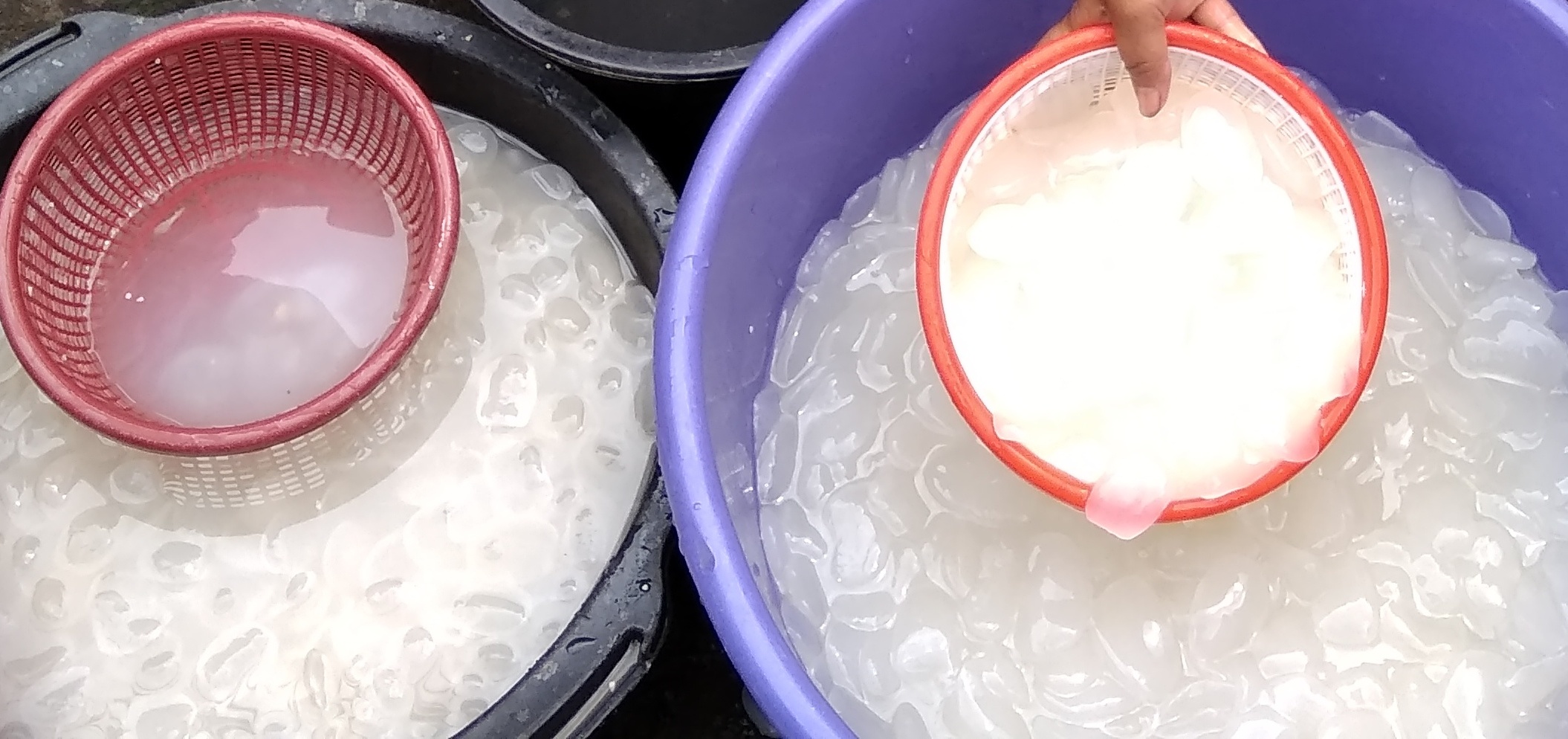 Permintaan Kolang Kaling Meningkat