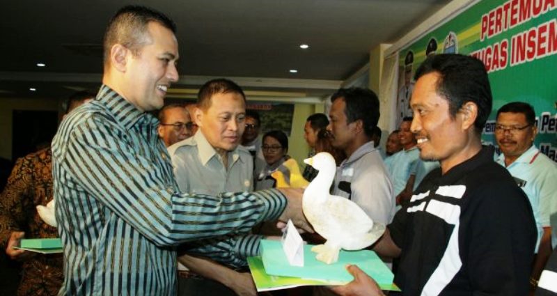 Pemprov Minta PTPN dan Perkebunan Swasta Dukung Pengembangan Peternakan di Sumut