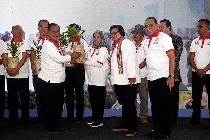 Gubsu Berkomitmen Rehabilitasi Hutan dengan Kembangkan Tanaman Macadamia 