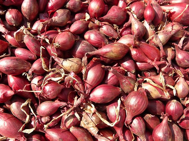 Harga Bawang Merah di Cirebon Turun Drastis