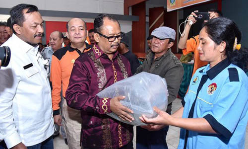 32.000 Ekor Benih Ikan Ditebar di Danau Toba