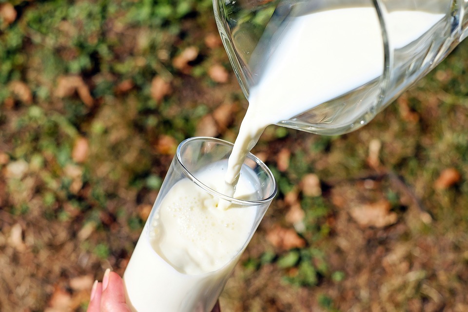 Pelaku Produk Susu Harus Gandeng Peternak Lokal