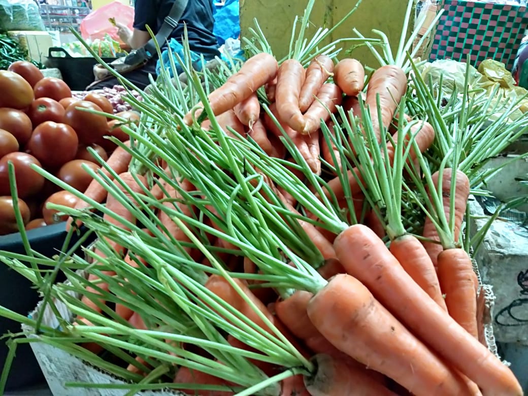 Harga Sejumlah Holtikultura Mulai Merangkak Naik